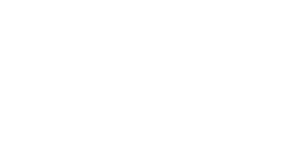 Bridge Analytics Logo